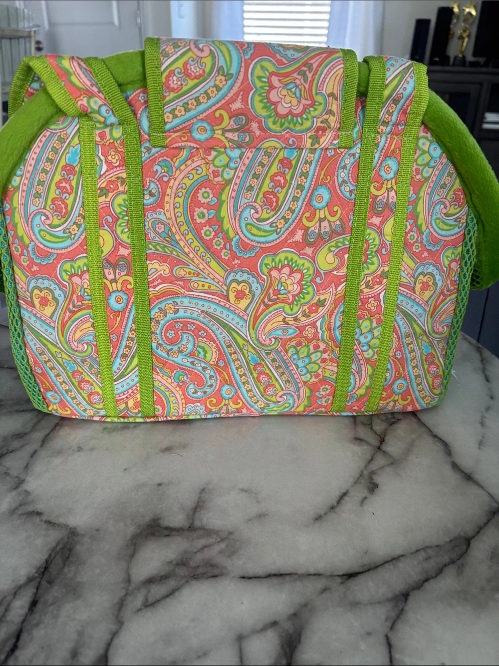 Small Pet Carrier Tote in Coral Paisley with Lime Trim